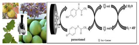 Biosensors | Special Issue : Novel Biosensing Platforms for Disease ...