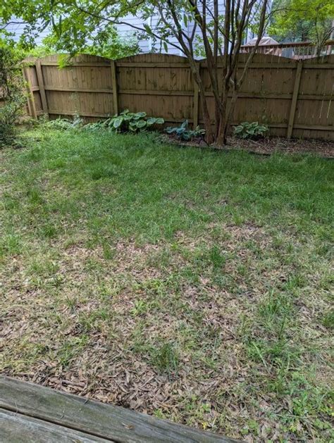 IMAGE Southern Lawn RTS 32 -fl oz Hose end sprayer Lawn Weed Killer in ...
