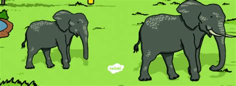 What are African animals? - Answered - Twinkl Teaching Wiki