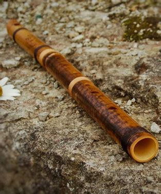 Pilibhit | Official Website of One District One Product Uttar Pradesh