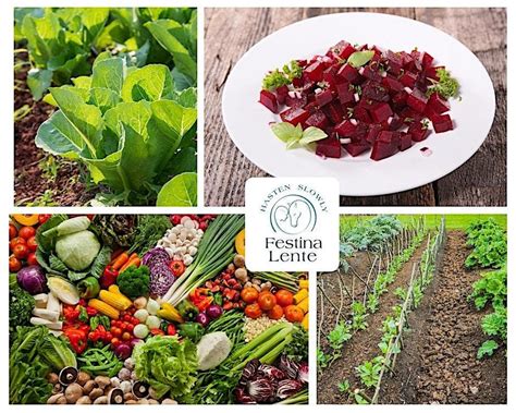Soil to Plate Programme 2025: A complete growing & culinary experience ...
