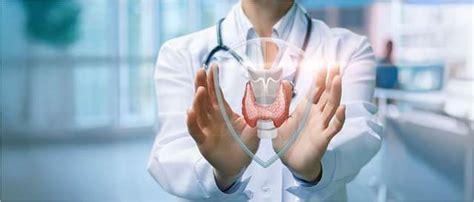 Endocrine System: Functions and Disorders