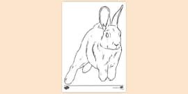 Girl Hopping Colouring Sheet | Colouring Sheets - Twinkl