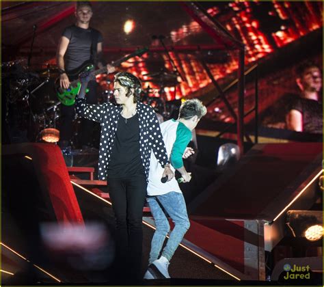 Image result for One Direction Concert Crows Fan Project