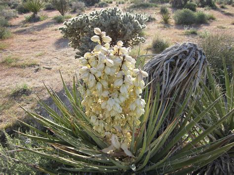 Canon PowerShot SD1300 IS (IXUS 105 / IXY 200F) sample photo ...