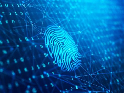 Security and Antivirus | Dell India