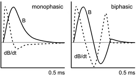 TMS combined with EEG: Recommendations and open issues for data ...