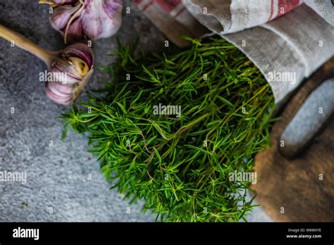 Cooking concept with traditional georgian herb kondari and spices Stock ...