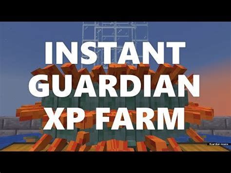 Image result for Guardian XP Farm Tutorial