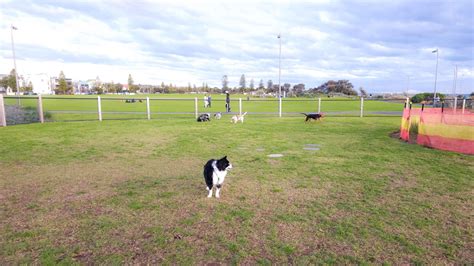 M.O. Moran Reserve Fenced Dog Park & Off-Leash Area Elwood