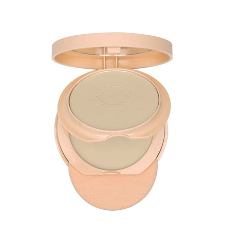 Buy Perfect Look Compact Powder + Concealer | 18 Gram – Colors Queen