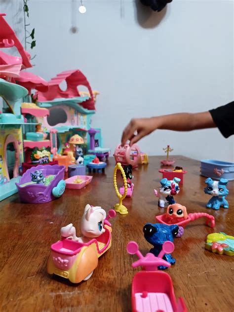 $15.00 LPS Haul at Savers (Accessories and Playset only) : r ...