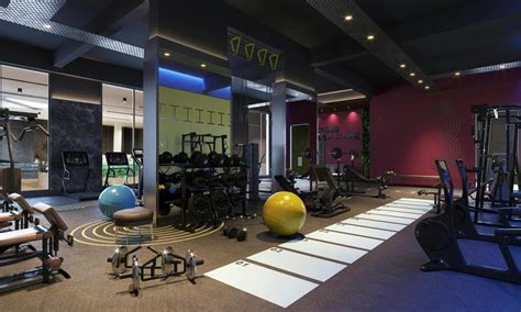 Image result for Gym Normal Distribution Example