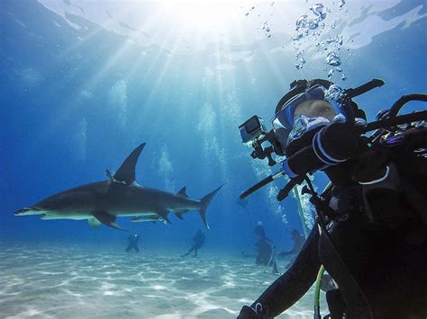 GoPro Water Slide HD 的图像结果