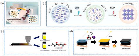 Innovative Approaches to Large-Area Perovskite Solar Cell Fabrication ...
