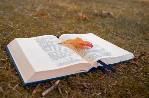 Image result for Outdoor Learning