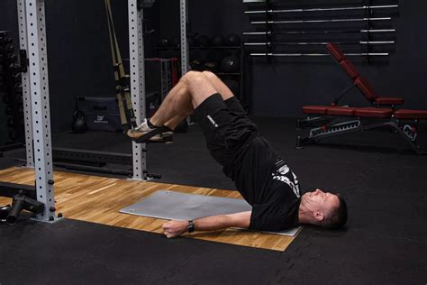 TRX Leg Curl 的图像结果