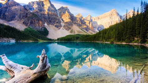 Image result for JavaScript Create App