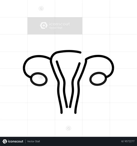 Female Vagina Animation by Vector Stall | LottieFiles
