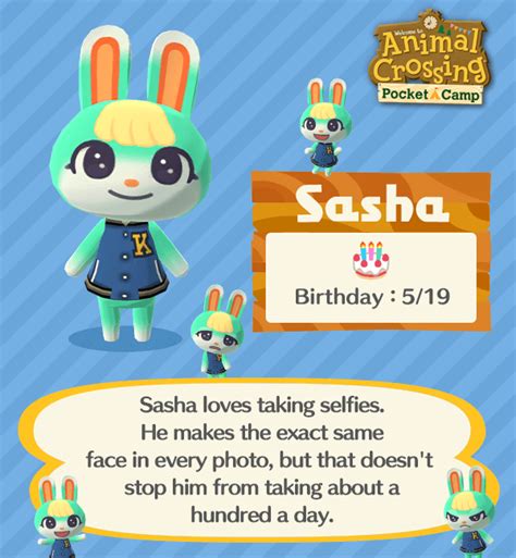 Perfil | Sasha - Animal Crossing: New Horizons - Rainbow Road