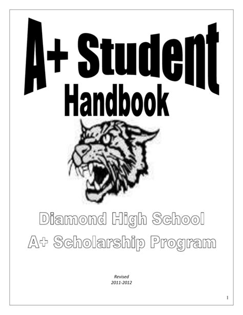 Image result for Diamond Program Handbook Cover