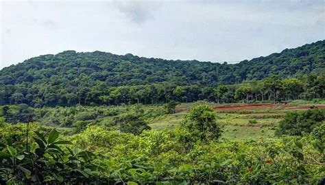 Places To Visit In Andhra Pradesh In Summer In 2026