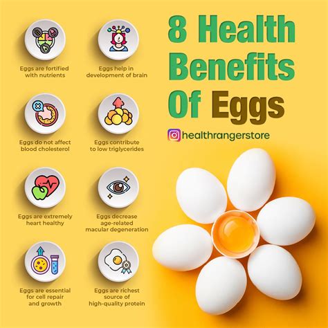 8 Health Benefits Of Eggs | Egg benefits, Health benefits of eggs ...
