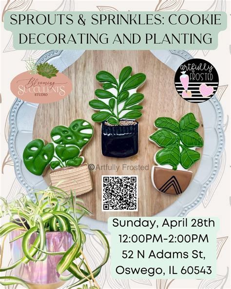 Sprouts & Sprinkles Cookie Decorating and Planting, Blooming Succulents ...