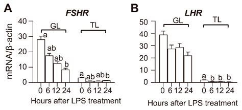Effects of LPS on the Secretion of Gonadotrophin Hormones and ...