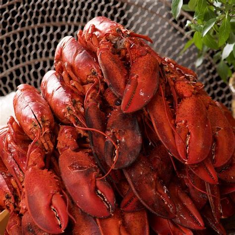 Philippines Tourism (2023): Best of Philippines - Tripadvisor