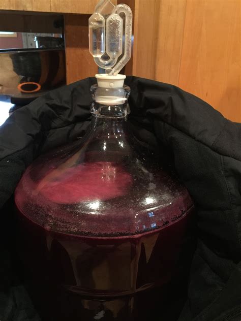 5 Gallon Elderberry Wine Recipe - Banana-breads.com