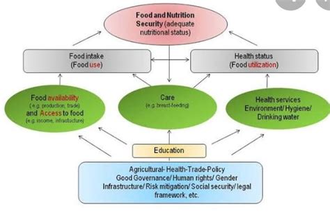 draw a flow chart of the chapter - food security in india class 9 ...