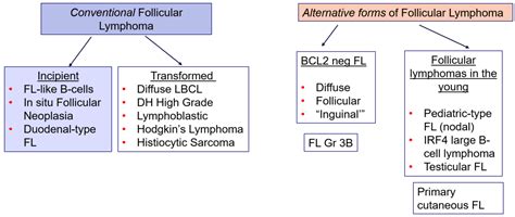 What Is Follicular Lymphoma Nhs – HZVOF