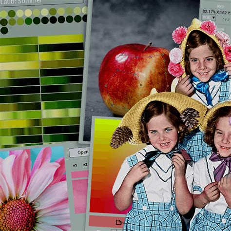 Image result for Codijy Colorizer Pro