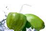 Welcome to Guruvarshan Exports