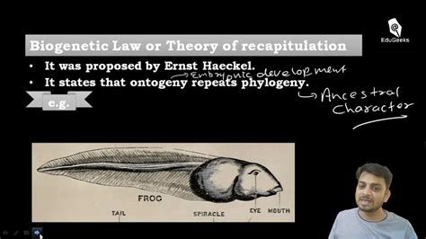 BioGenetic 的图像结果