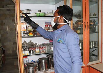 3 Best Pest Control Services in Vasai Virar, MH - Expert Recommendations