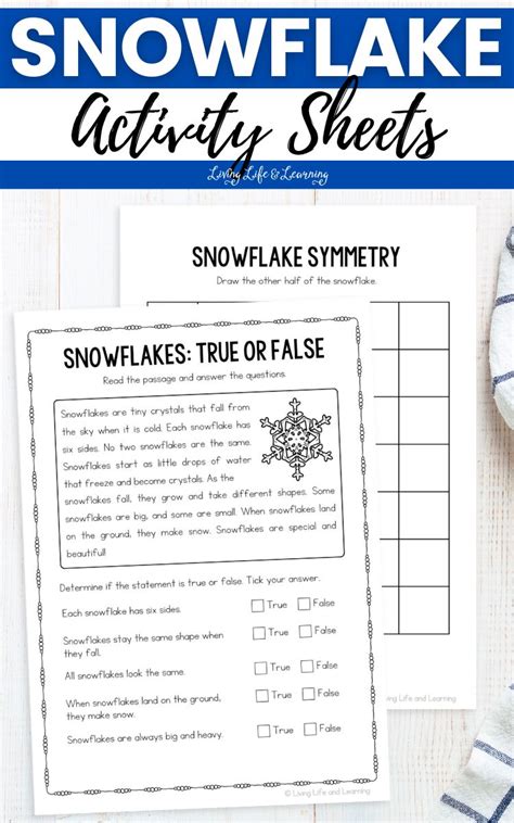 Image result for Snowflake Simple Learning