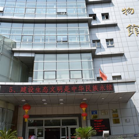 URUMQI MUSEUM (2026) All You Need to Know BEFORE You Go (with Photos ...