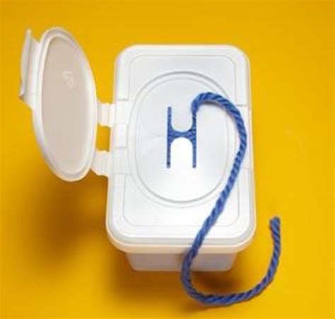 DIY Wipe Containers 的图像结果