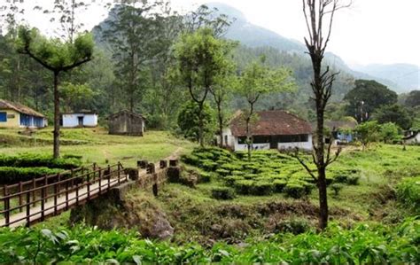 Chinna Kallar Falls (Valparai) - 2021 What to Know Before You Go (with ...