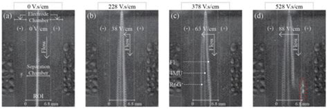 Fluorescence Imaging Characterization of the Separation Process in a ...