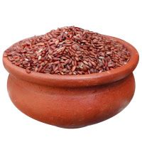 Vidhai Organic Store