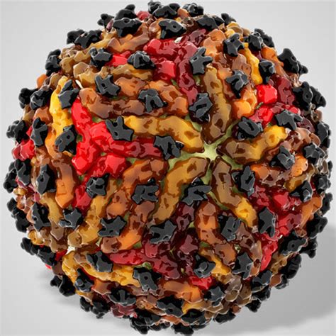 Dengue 2 Virus Envelope Protein from target database | PDTDB ...