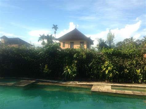 SRI SUNARI GUEST HOUSE (Ubud, Bali) - Inn Reviews & Photos - Tripadvisor