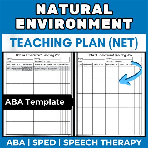 ABA NET Plan Template | Natural Environment Teaching | Special ...