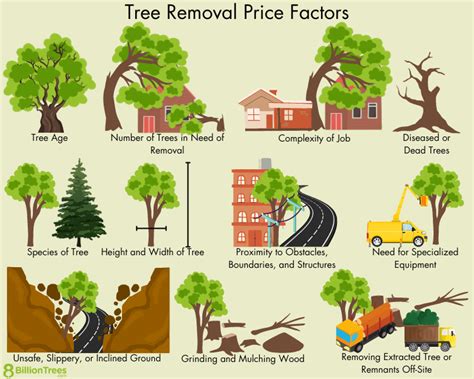 Tree Removal Cost 的图像结果