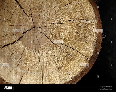 Cut log, background of wooden cut texture Stock Photo - Alamy