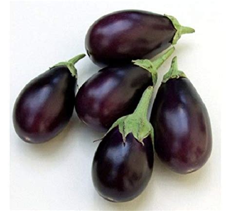 Pusa purple cluster brinjal/baigun seeds- 120 : Amazon.in: Garden ...