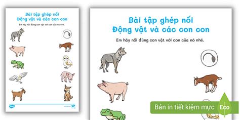 Bài Tập Nối Con Vật và Con Vật Con (teacher made)